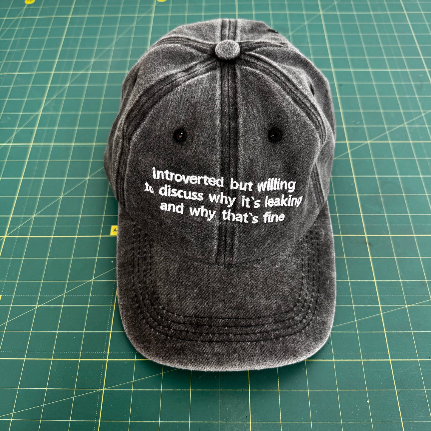 Introverted But Willing — Embroidered Cap (6 Colorways)