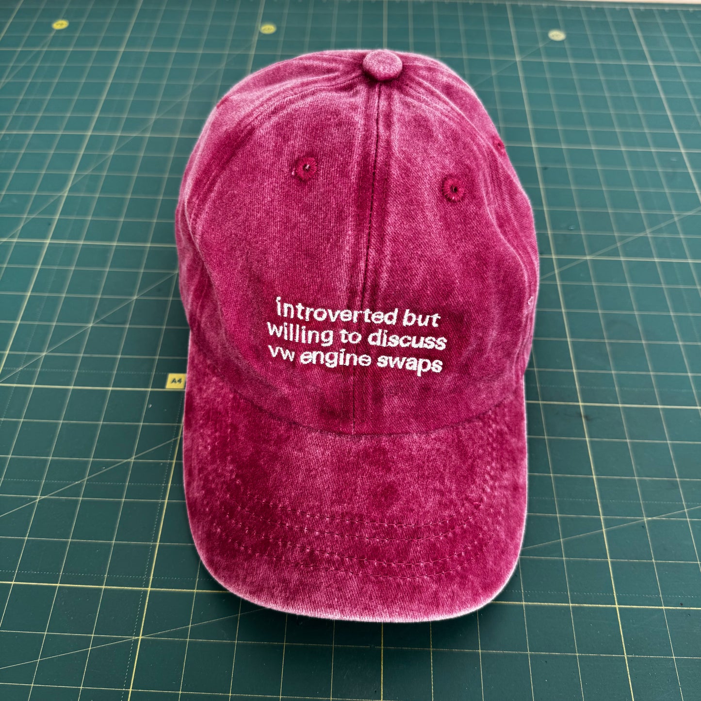 Introverted But Willing — Embroidered Cap (6 Colorways)